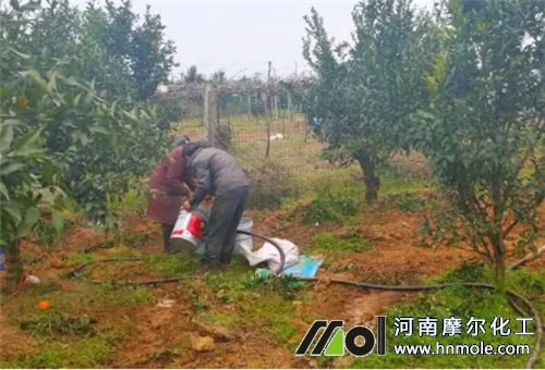 沖施水溶肥肥水量 沖施水溶肥肥水量