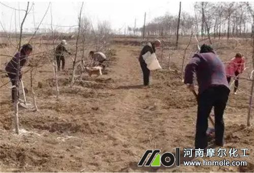 春季施水溶肥注意 春季施水溶肥注意