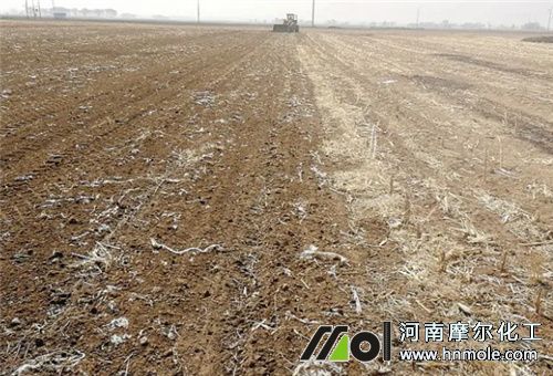 水溶肥雨后能否撒施 水溶肥雨后能否撒施