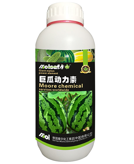 巨瓜動力素1000ml 巨瓜動力素1000ml