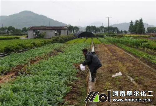 多雨天氣水溶肥使用 多雨天氣水溶肥使用