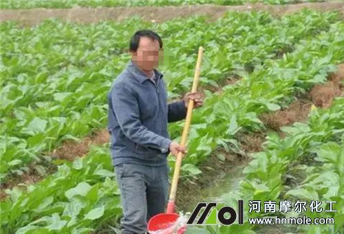 多雨天氣水溶肥使用 多雨天氣水溶肥使用