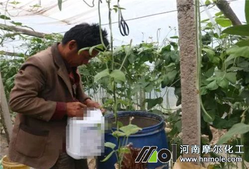 水溶肥用量 水溶肥用量