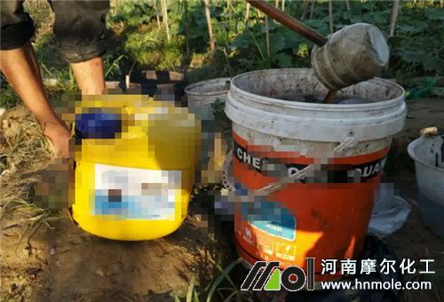 水溶肥稀釋 水溶肥稀釋