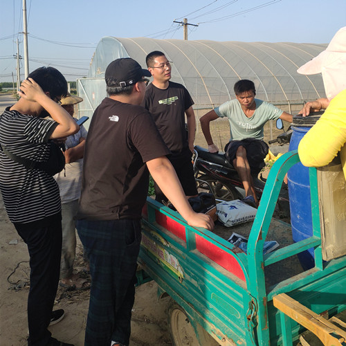 草莓種植戶咨詢用肥現場1 草莓種植戶咨詢用肥現場1