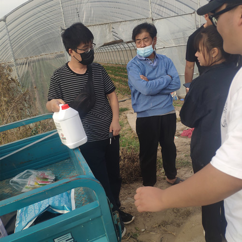 草莓種植戶咨詢用肥現場2 草莓種植戶咨詢用肥現場2