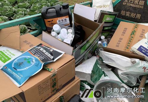 摩爾黃瓜試驗田2 摩爾黃瓜試驗田2