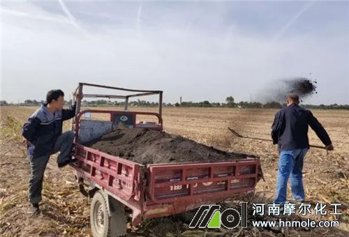 銨態(tài)氮肥與草木灰不能混用 銨態(tài)氮肥與草木灰不能混用