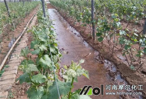 肥料用法 肥料用法