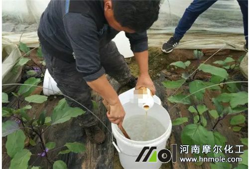 肥料用法 肥料用法