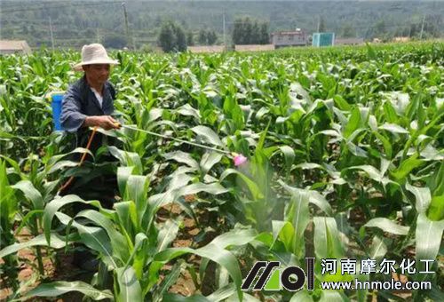 激素肥見效期 激素肥見效期