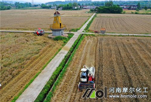 水溶肥使用 水溶肥使用