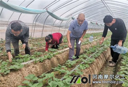 溫室作物施肥 溫室作物施肥