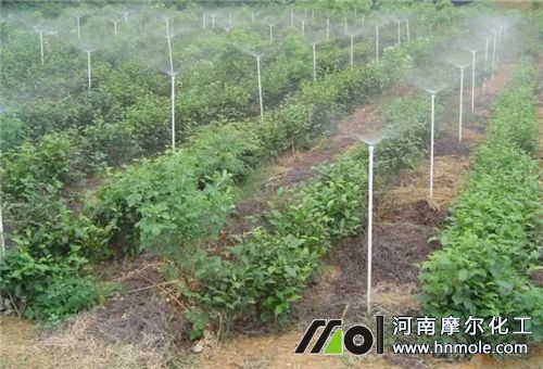 水溶肥規范用法3 水溶肥規范用法3