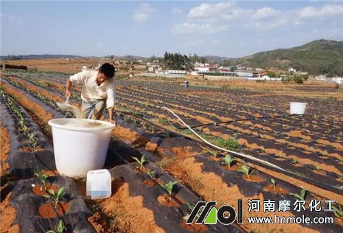 水溶肥規范用法 水溶肥規范用法