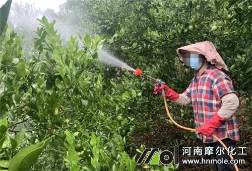 草木灰使用注意 草木灰使用注意