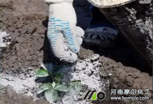 草木灰用法 草木灰用法