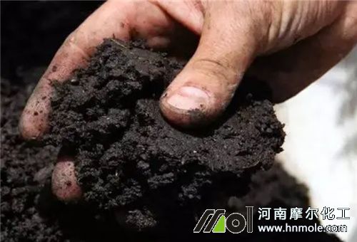 影響肥力因素1 影響肥力因素1