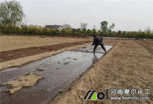 影響肥力因素2 影響肥力因素2