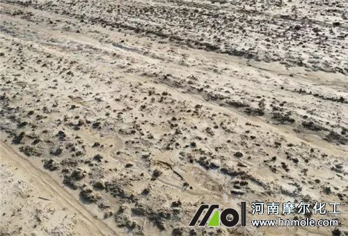 影響肥力因素3 影響肥力因素3