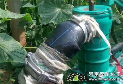 黃瓜增粗澆水 黃瓜增粗澆水