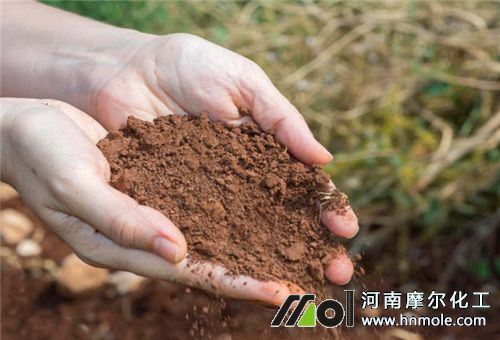 魚蛋白對土壤好處 魚蛋白對土壤好處