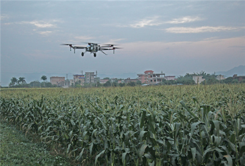 酶解魚蛋白葉面噴施 酶解魚蛋白葉面噴施