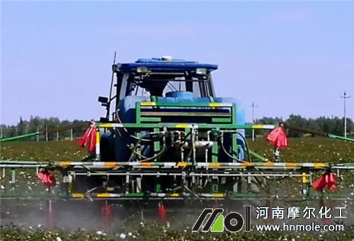 棉花噴施魚蛋白肥 棉花噴施魚蛋白肥