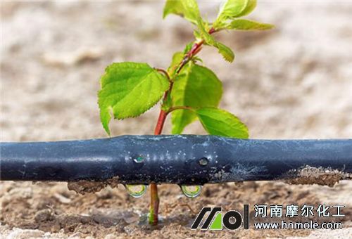 糖醇螯合液肥滴灌 糖醇螯合液肥滴灌