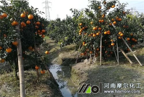 糖醇鐵好處 糖醇鐵好處