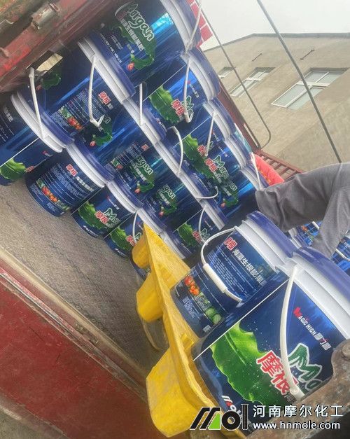 摩爾生根膨果肥裝車中 摩爾生根膨果肥裝車中