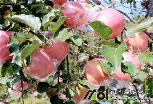 糖醇錳用法用量 糖醇錳用法用量