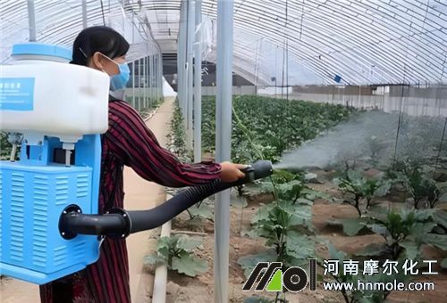 糖醇錳用法用量 糖醇錳用法用量