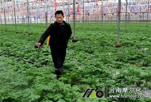 糖醇鋅使用要求 糖醇鋅使用要求