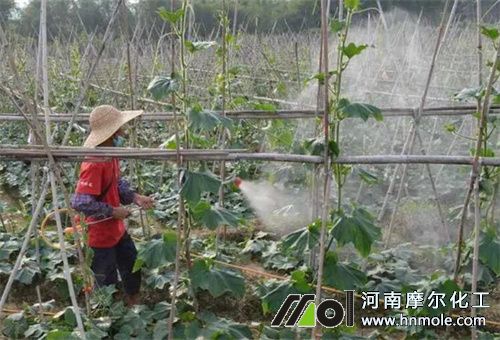 糖醇鋅肥料優勢 糖醇鋅肥料優勢