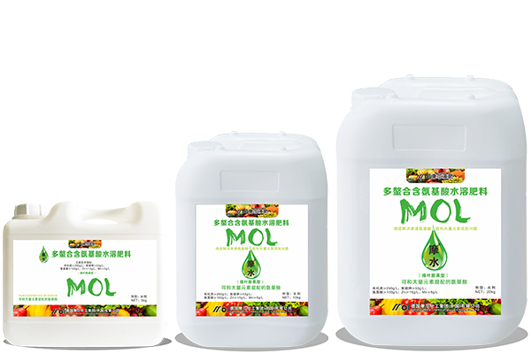 氨基�?綠葉膨果-其它.jpg 氨基�?綠葉膨果-其它.jpg